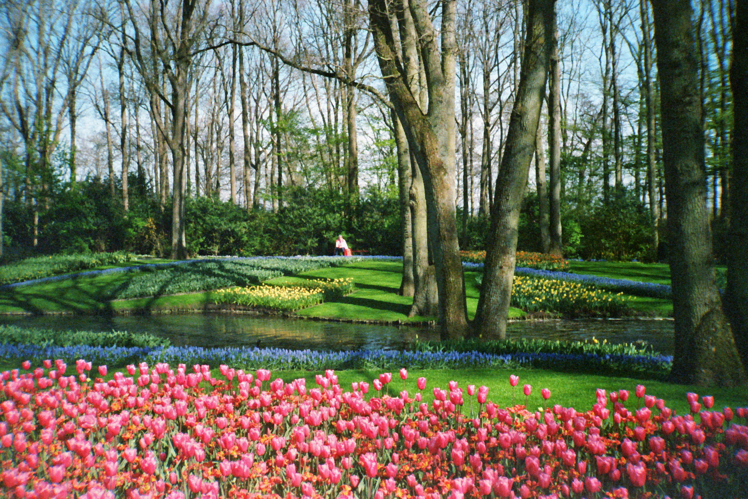 Analog fotografi