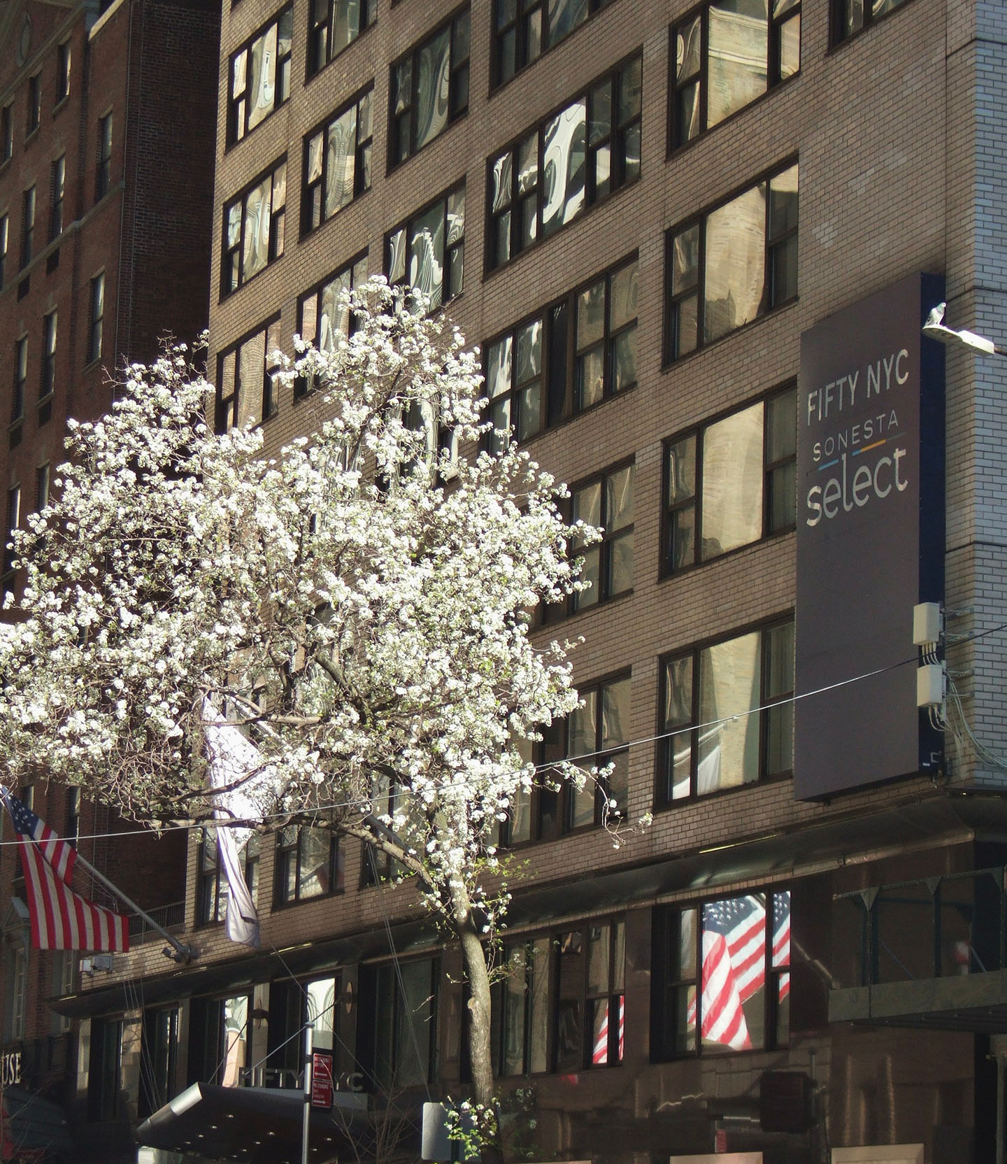 Café in New York